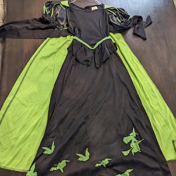Wicked Witch of the West Halloween  Costume - Picture 2 of 2